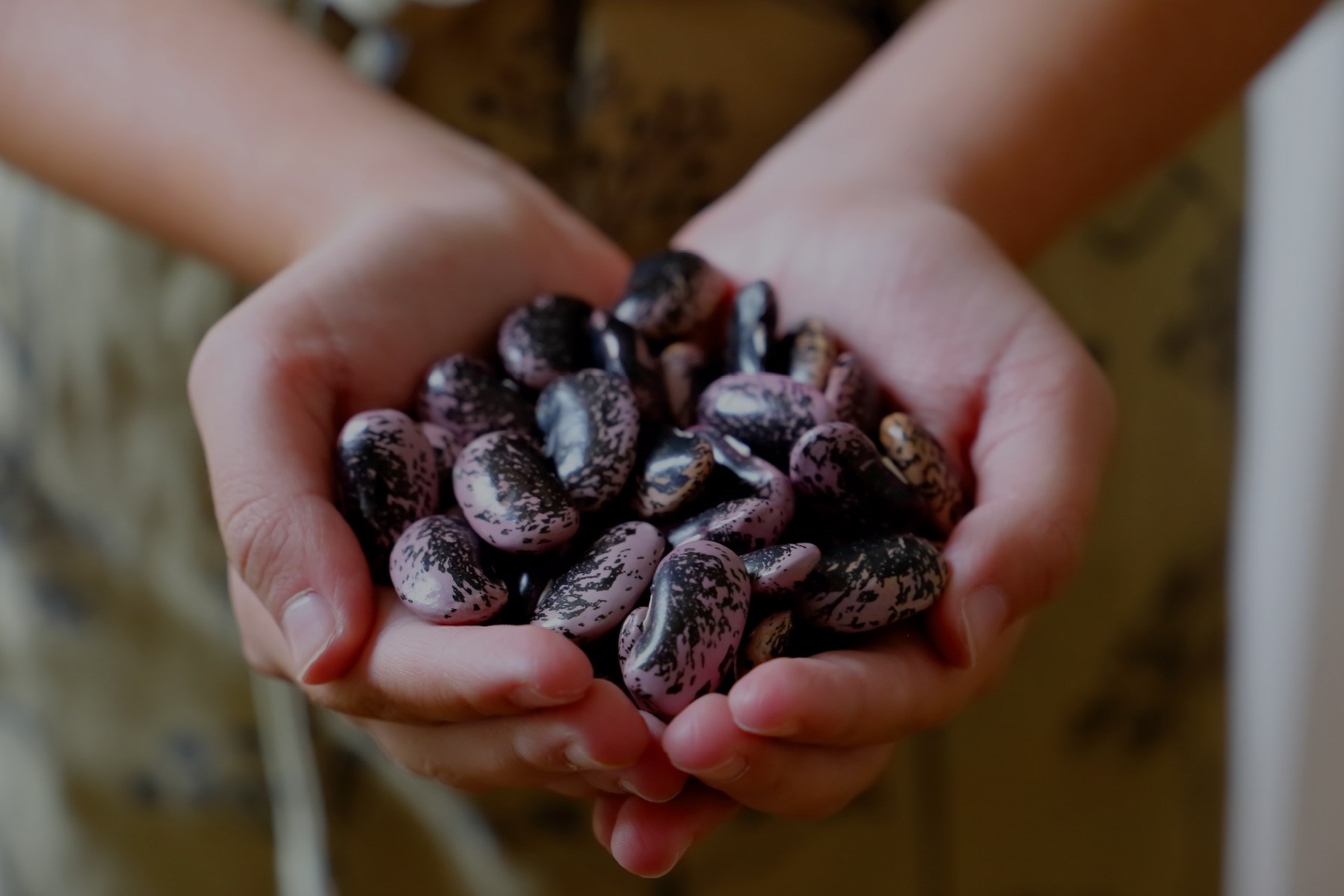 Hand voll Bohnen